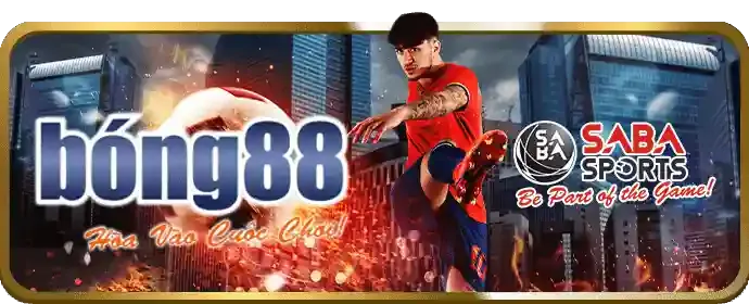 Cá cược thể thao sun20
